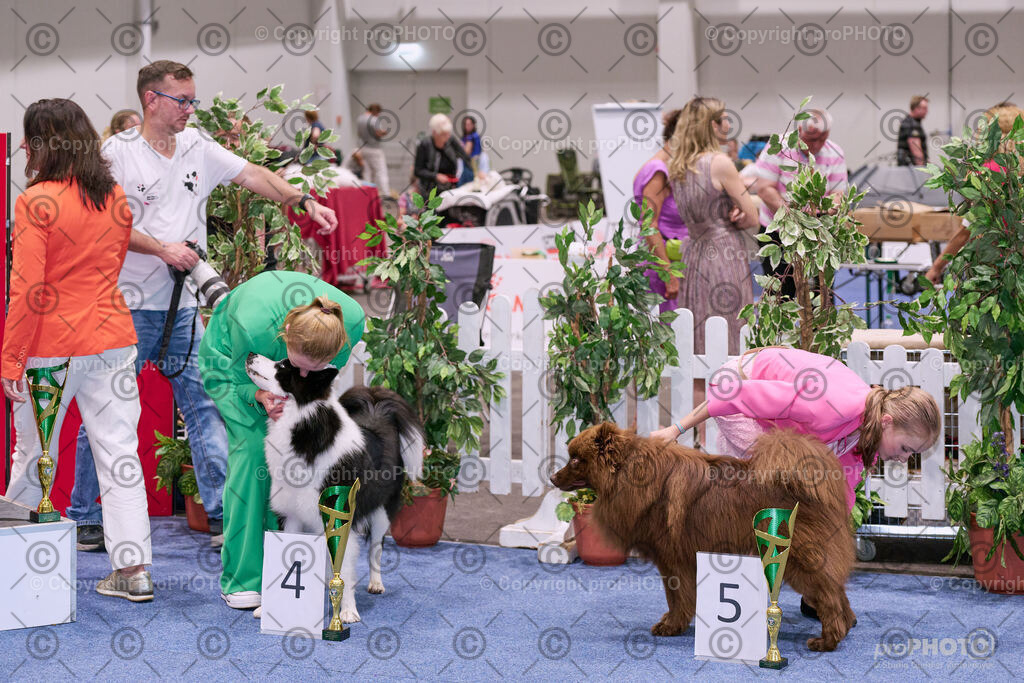 202406_ÖKV-IHA-Tulln24_NZ9_8687 | proPHOTO - Realisiert mit Pictrs.com