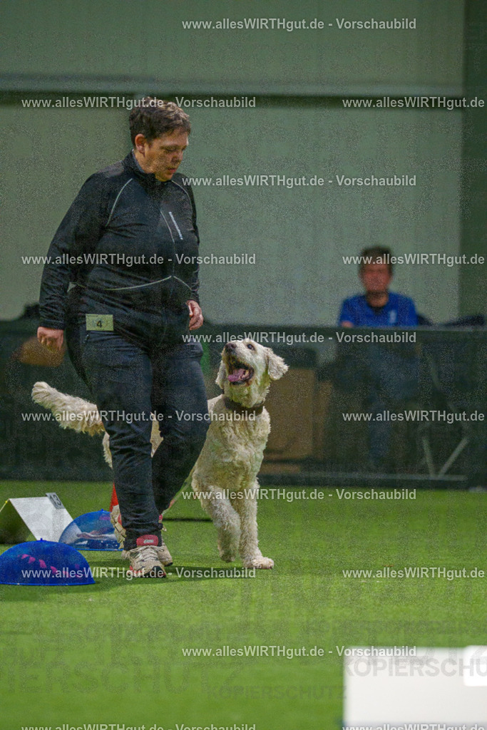 7R504303 | Professionelle Tierfotografie in Mönchengladbach von Daniel Wirth (allesWIRTHgut). Liebevolle & natürliche Bilder von Hunden & Katzen für unvergessliche Erinnerungen.