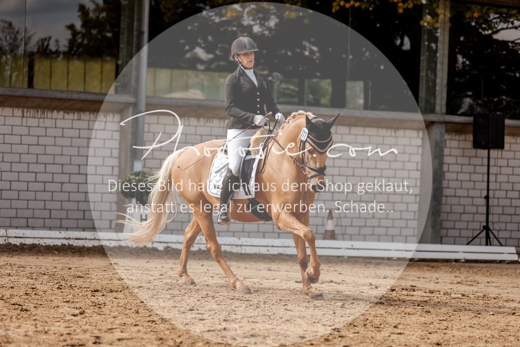 3I6A7294 | Stimmungsvolle Portraits und Reitsportfotografie im Ruhrgebiet und im Münsterland.

Pferdefotografie, Hundefotografie, Tierfotografie, Reportagen, Portraits von Tier und Mensch, Turnierfotografie in Bochum, Recklinghausen, Marl, Haltern am See, Dülmen.. - Realisiert mit Pictrs.com