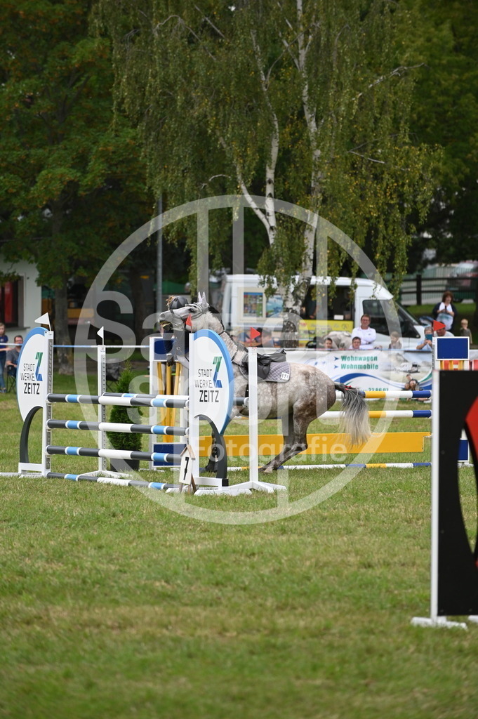 DSC_2257 | sattelsport - Realisiert mit Pictrs.com