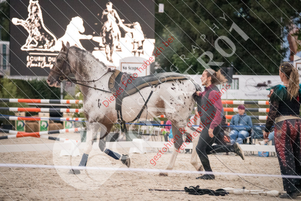 DSC_0105 | Sport-, Event- und Tierfotos in Profiqualität. Einfach auswählen, bestellen und herunterladen. Dein Moment – perfekt festgehalten.