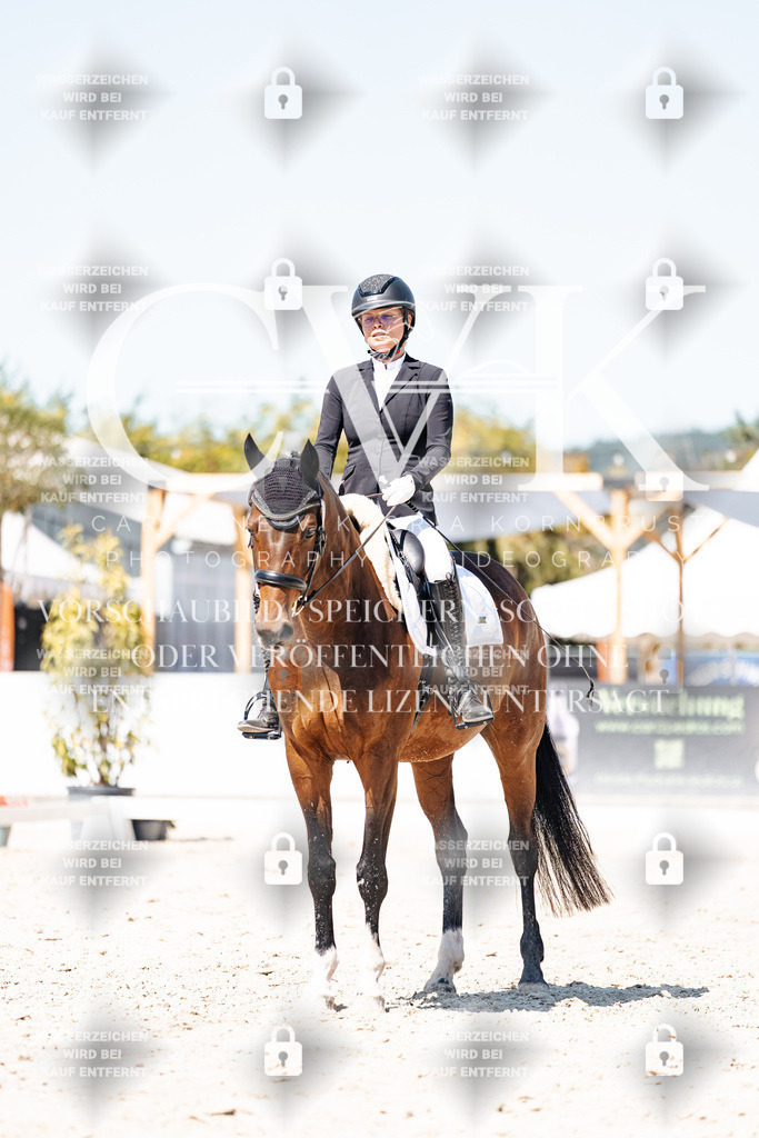 CK900461 | Turnierfotografie Pferdefotografie Trier Rheinland-Pfalz Pferdesport Reitsport Tierfotografie Sportfotografie Pferdevideo Pferdevideografie Equestrianvideography equestrianphotography  - Realisiert mit Pictrs.com