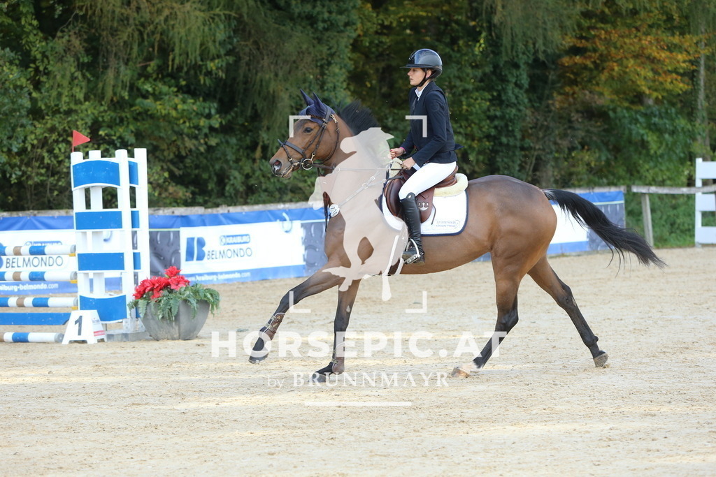 DL2Q4699 | Willkommen bei Brunnmayr - Design & Fotografie – Ihrem Spezialisten für Reitturniere und Pferdeveranstaltungen in Oberösterreich, Salzburg und Bayern! Seit über 17 Jahren sind wir leidenschaftlich dabei.