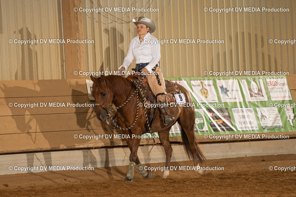 NID01499 | dv-media-shop - Realisiert mit Pictrs.com