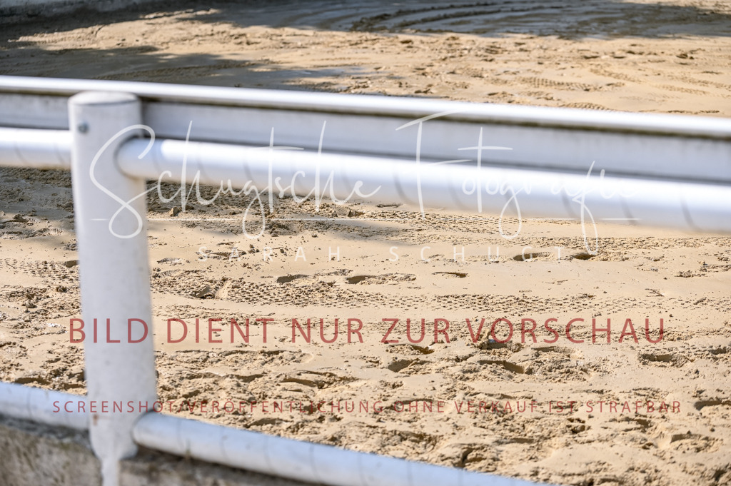 Schugtsche-Aluta25-58. Dressurprf.S1Kand.St.GeorgSpecial-239 | Schugtsche Fotografie - Realisiert mit Pictrs.com