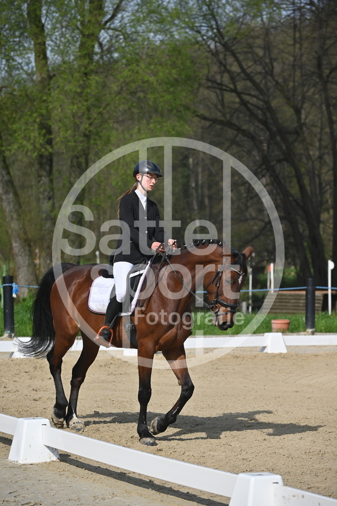 DSC_0567 | sattelsport - Realisiert mit Pictrs.com