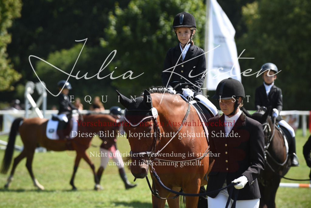 DSC_9789 | Pferde- und Turnierfotografie in Westsachsen. Pferdeportraits, Auftragszeichnungen und intuitive Kunst.