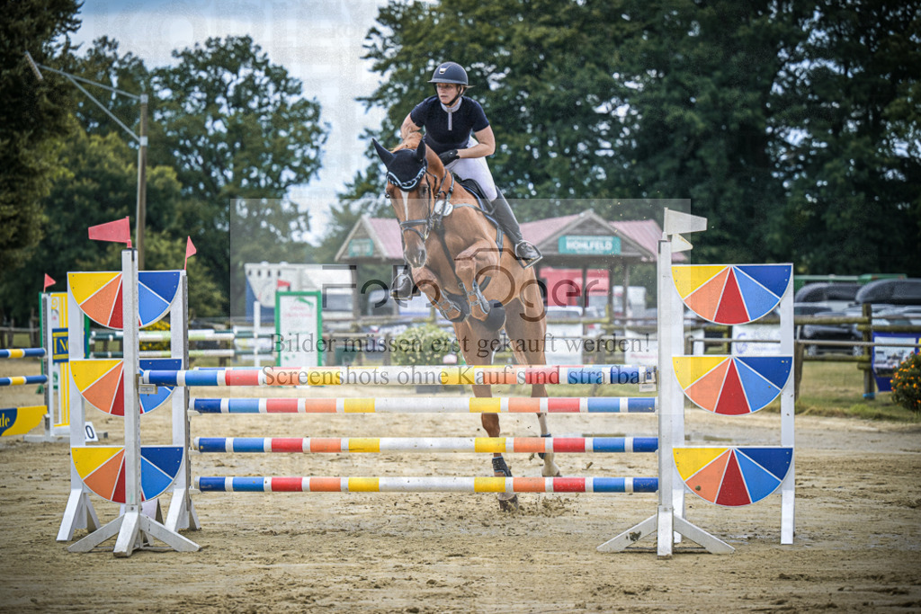DOS_5753 | Entdecke hochwertige Reitturnierfotos von Foto Oger. Professionell, emotional und authentisch – jetzt Lieblingsmomente im Shop bestellen.Deutschlandweite Turnierfotografie. - Realisiert mit Pictrs.com