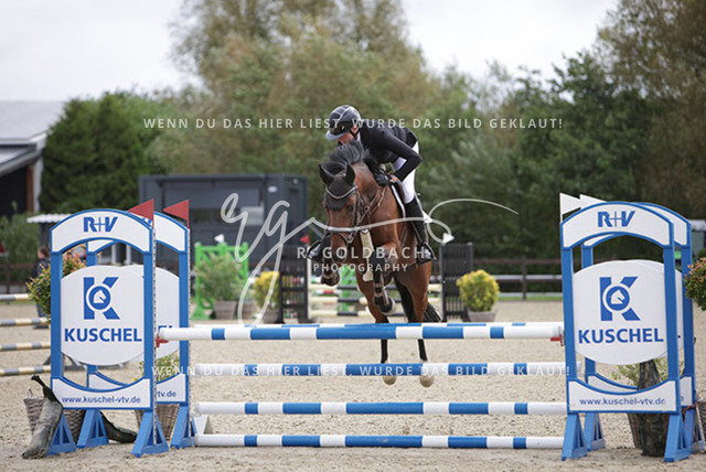 1J2A2012Paula de Boer-Schwarz_ Belun 3_ Kn047_ Havekost | Foto- und Videografie für alles rund ums Pferd. Hochwertige Bilder und Videos vom Spring- und Dressurreiten, Voltigieren & mehr. Jetzt aktuelle Veranstaltungen und Preise im Shop ansehen. - Realisiert mit Pictrs.com