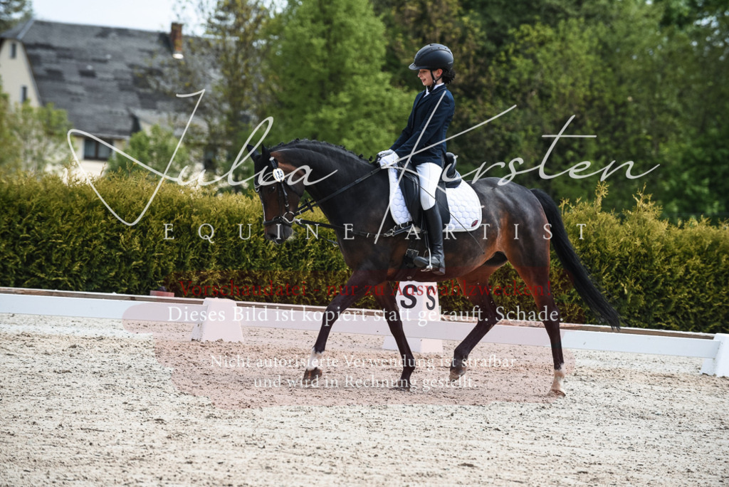 20230518_JK-Röhrsdorf-11-0556 | Pferde- und Turnierfotografie in Westsachsen. Pferdeportraits, Auftragszeichnungen und intuitive Kunst.