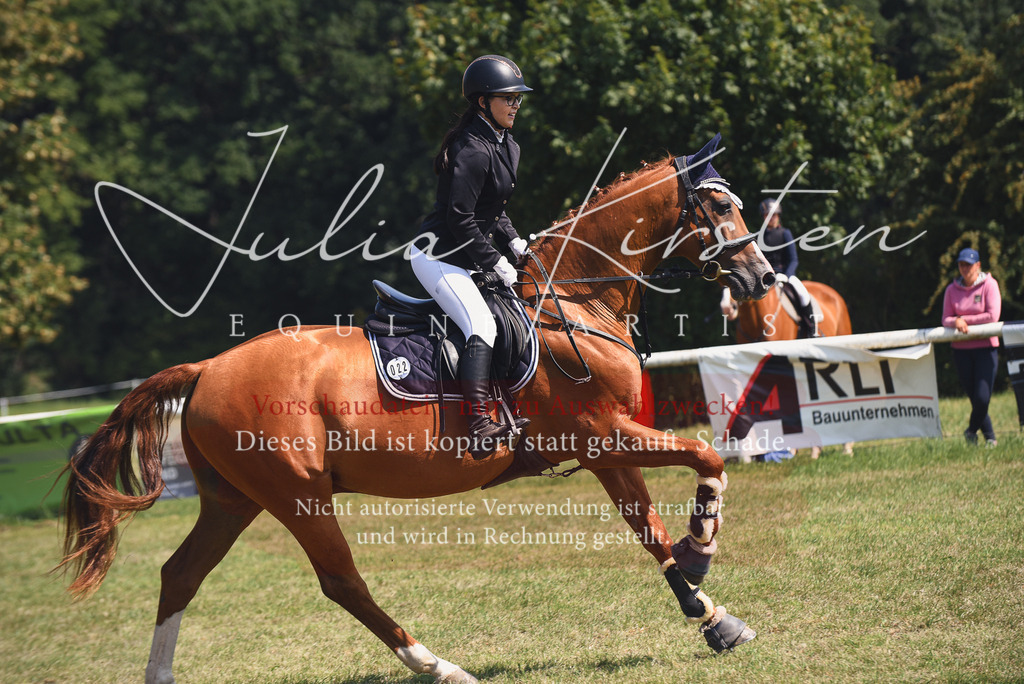 DSC_0026 | Pferde- und Turnierfotografie in Westsachsen. Pferdeportraits, Auftragszeichnungen und intuitive Kunst.