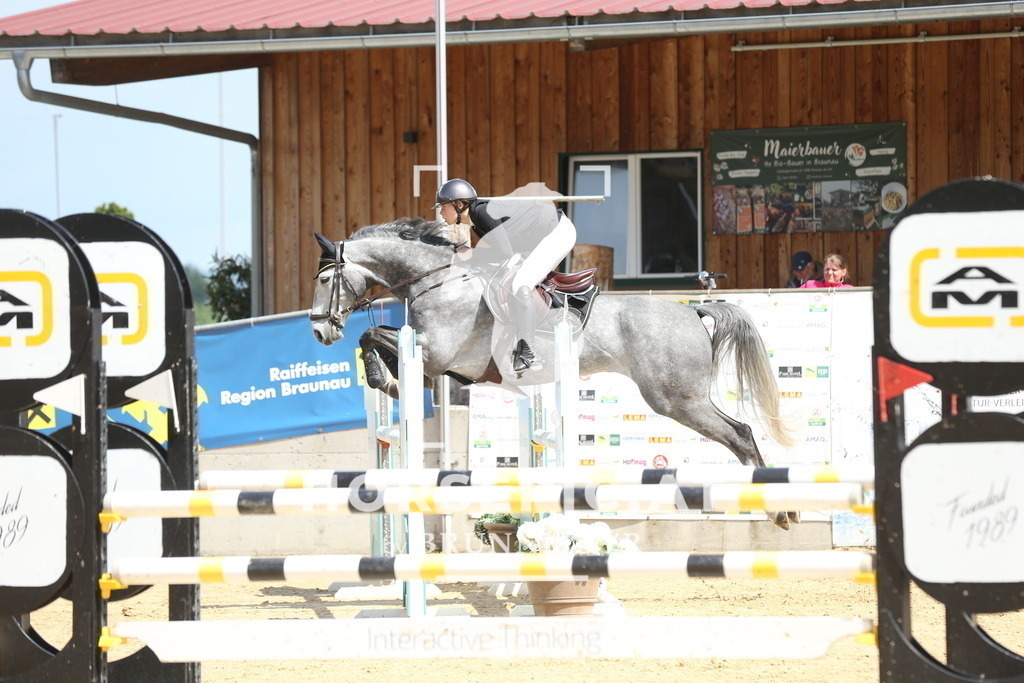 DL2Q1734 | Willkommen bei Brunnmayr - Design & Fotografie – Ihrem Spezialisten für Reitturniere und Pferdeveranstaltungen in Oberösterreich, Salzburg und Bayern! Seit über 17 Jahren sind wir leidenschaftlich dabei.