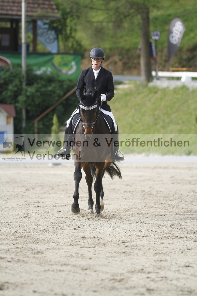 _MG_5873 | equestrian-live-com