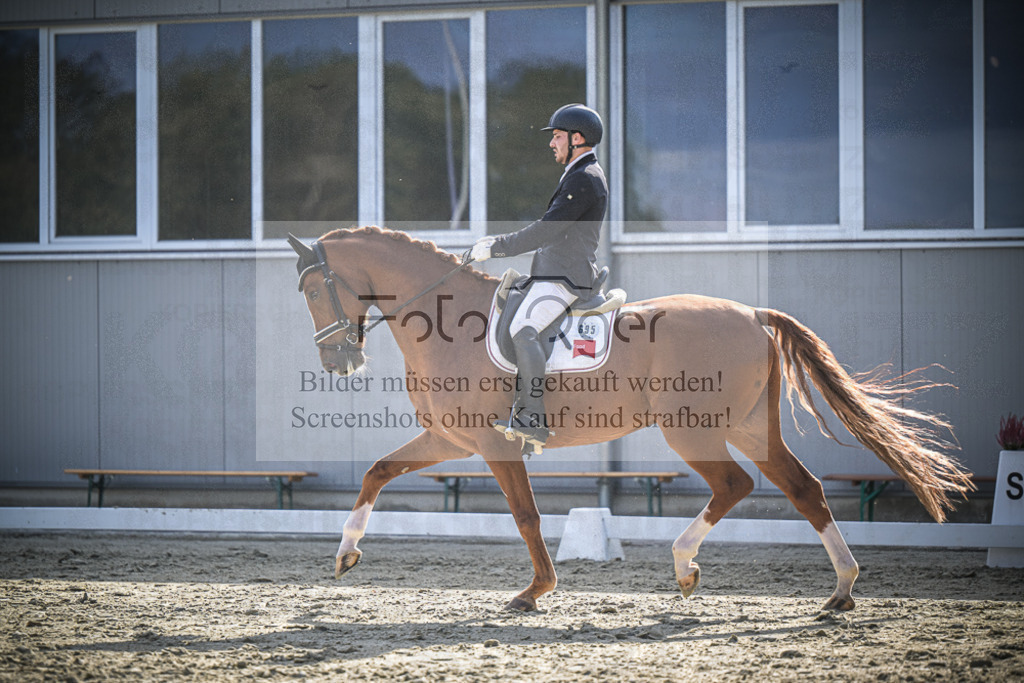 DOS_0638 | Entdecke hochwertige Reitturnierfotos von Foto Oger. Professionell, emotional und authentisch – jetzt Lieblingsmomente im Shop bestellen.Deutschlandweite Turnierfotografie. - Realisiert mit Pictrs.com