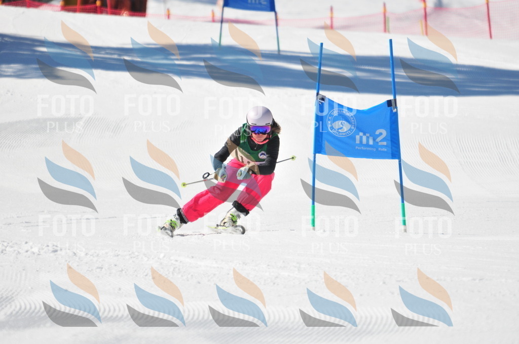 C4165 | holidayphoto