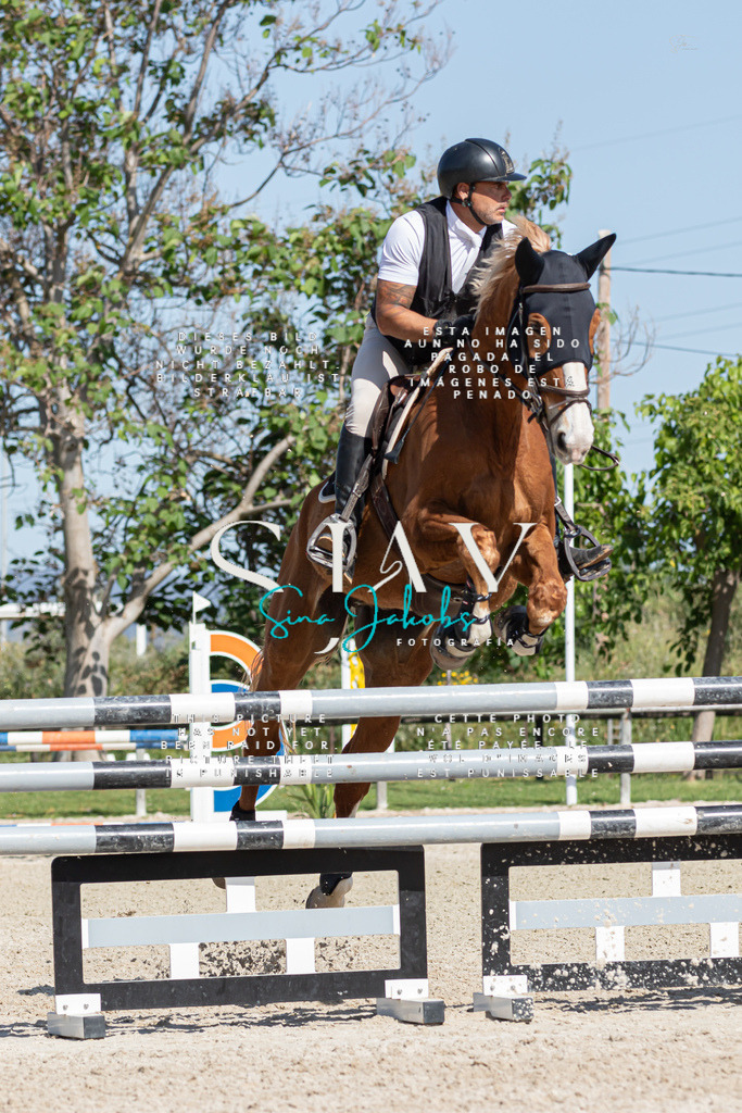 IMG_0872 | s-jay-photography - Realisiert mit Pictrs.com