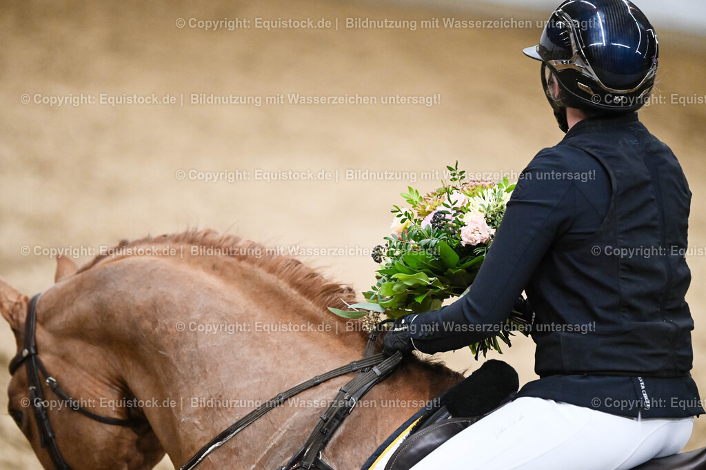 20260307_Hengstvorstellung-Marbach_0170 | equistock
