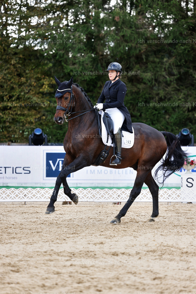 10-193-ST.GEORG SPECIAL -StoibPH-3248 | working equitationturnier fotograf videograf stoibphotography marixx film working equitation deutschland reitsport turnierfotografie eventfotografie equestrian events