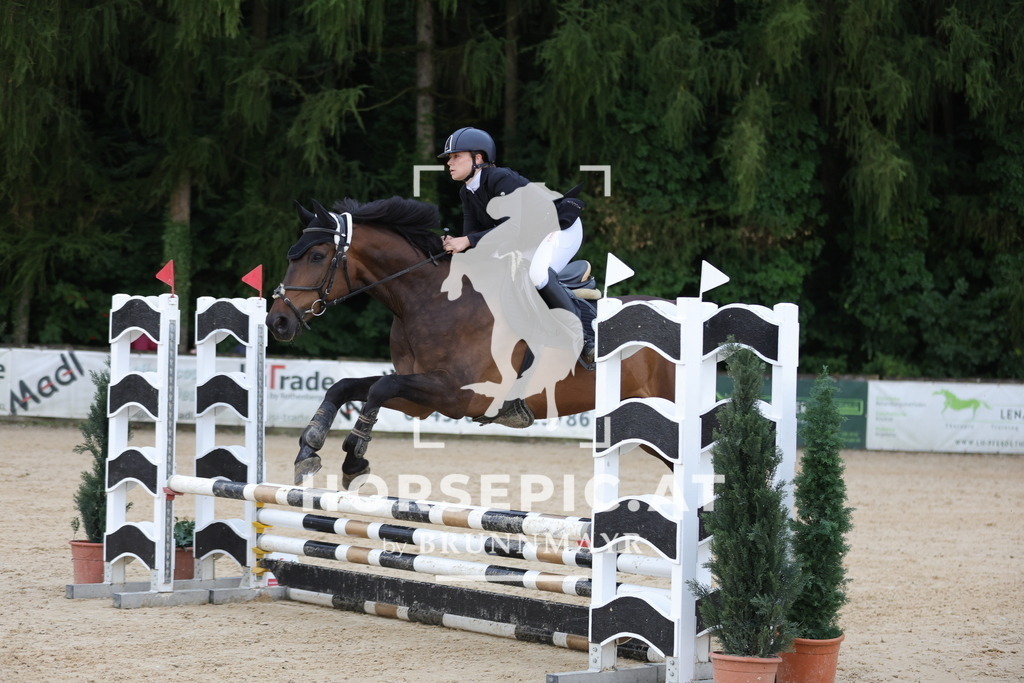 0P6A2466 | Willkommen bei Brunnmayr - Design & Fotografie – Ihrem Spezialisten für Reitturniere und Pferdeveranstaltungen in Oberösterreich, Salzburg und Bayern! Seit über 17 Jahren sind wir leidenschaftlich dabei.