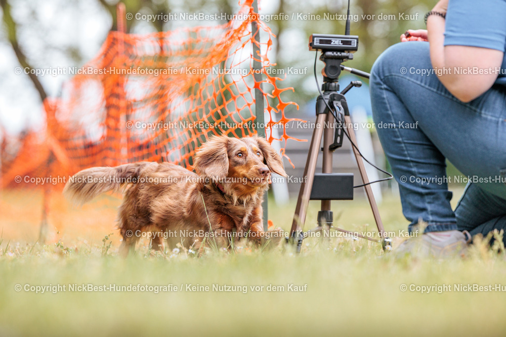 Sage Hunderennen Frühlingsfest-2026-Nickbest-Hundefotografie-0782 | Dein Hund! Dein Moment! Deine Erinnerungen! Hundefotografie in Bremen Blumenthal. Ich fange die besonderen Momente deines Vierbeiners ein – ob Indoor mit Blitzanlage oder in der freien Natur. Sicher dir dein Moment und dein Termin für eure Erinnerungen.