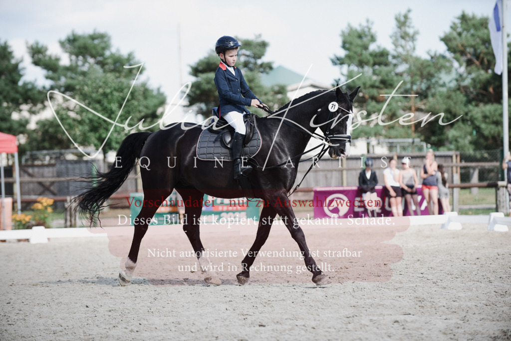 DSC_9941 | Pferde- und Turnierfotografie in Westsachsen. Pferdeportraits, Auftragszeichnungen und intuitive Kunst.