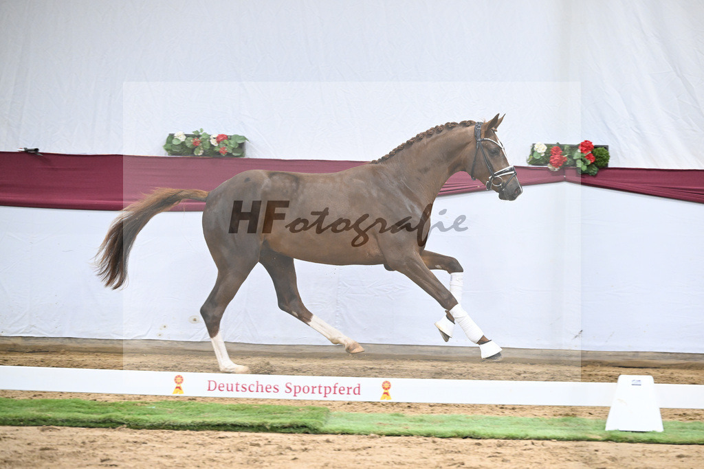 Kat-Nr. 138 Flashbang x Benetton Dream_Christian Gaeher_47251445 | hf-fotografie - Realisiert mit Pictrs.com