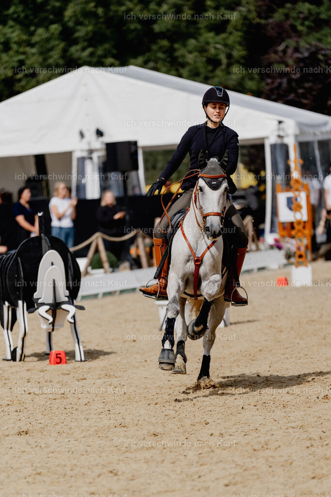 Svea13FHC2025-2890 | working equitationturnier fotograf videograf stoibphotography marixx film working equitation deutschland reitsport turnierfotografie eventfotografie equestrian events