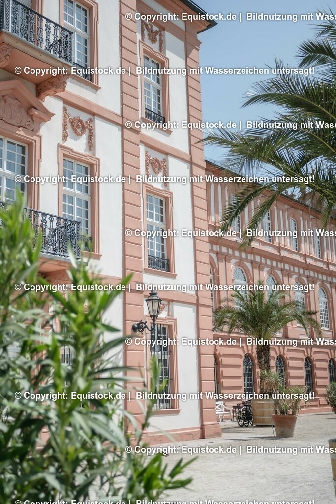 ZFC_3954 | equistock