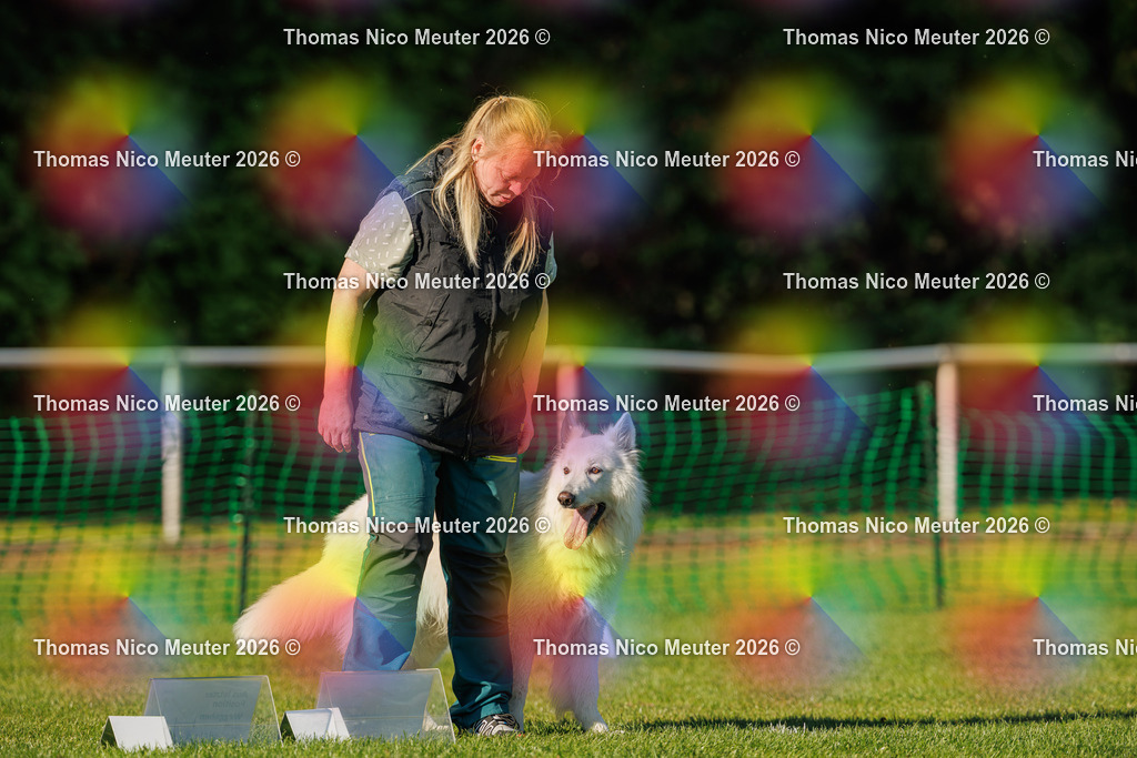 Thomas_Nico_Meuter(C)_04. Oktober 2026_223A4154 | Bild von Thomas Nico Meuter - Realisiert mit Pictrs.com