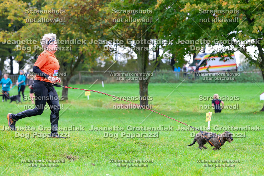 Dog Paparazzi -  SD1026-2097 | Dog Paparazzi Jeanette Grottendiek Fotografie & Videografie - Realisiert mit Pictrs.com