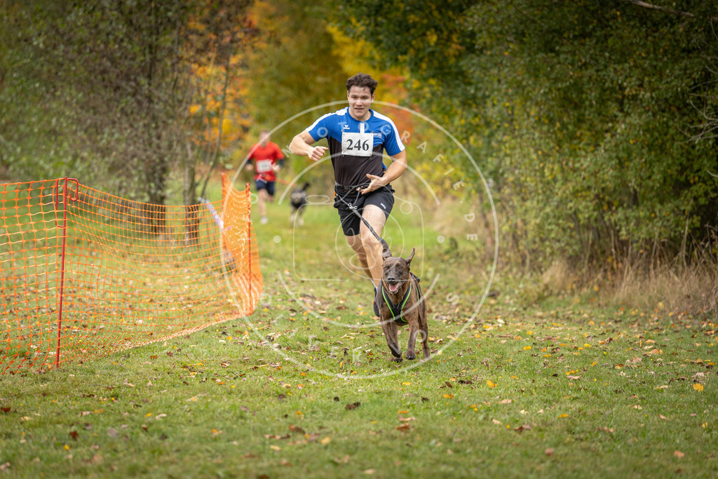 Pfotenfotografie_DV3A4209 | Hundefotografie, Tierfotograf, Pfotenfotografie, Fotoshooting Hund, Hunde Portrait, Hundesport, Hundeportraits, Heideshooting, Hunde, Sportfotograf, Hundefotograf, Turnierhundsport, THS,  - Realisiert mit Pictrs.com