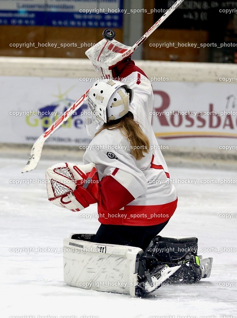 MOWE3861 | hockey sports photos, Pressefotos, Sportfotos, hockey247, win 2day icehockeyleague, Handball Austria, Floorball Austria, ÖVV, Kärntner Eishockeyverband, KEHV, KFV, Kärntner Fussballverband, Österreichischer Volleyballverband, Alps Hockey League, ÖFB, 