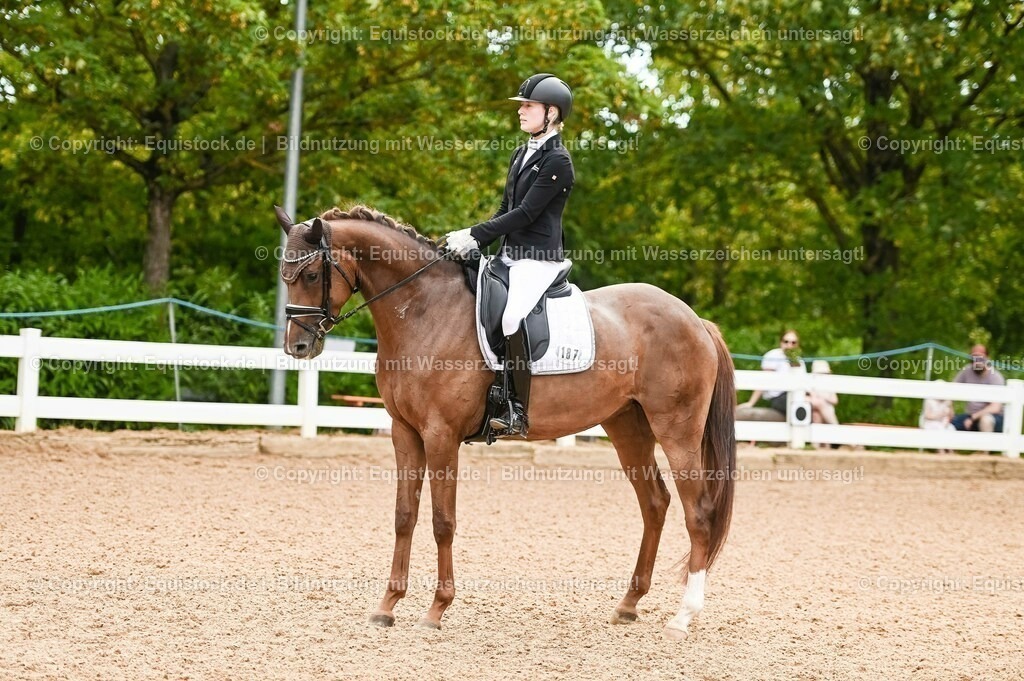 20230715_07_Dressurpferdeprfg. Kl.L_0045 | equistock