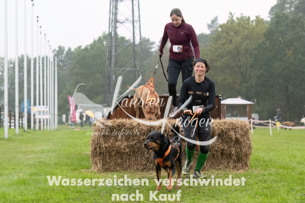 0947-_ZZ94702-Bearbeitet | kk-dogfotos