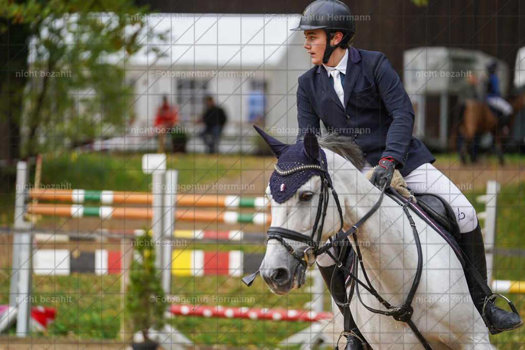 20221009-FAH08359 | Diessen am Ammersee, 2022, Dressur- und Springturnier, Reitsportbilder, Turnierfotografen Bayern, Pferdefotografen, Fotoagentur Herrmann, Turnierbilder
