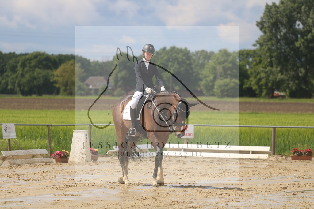 IMG_9115 | jessicahollubetz_pferdephotographie - Realisiert mit Pictrs.com