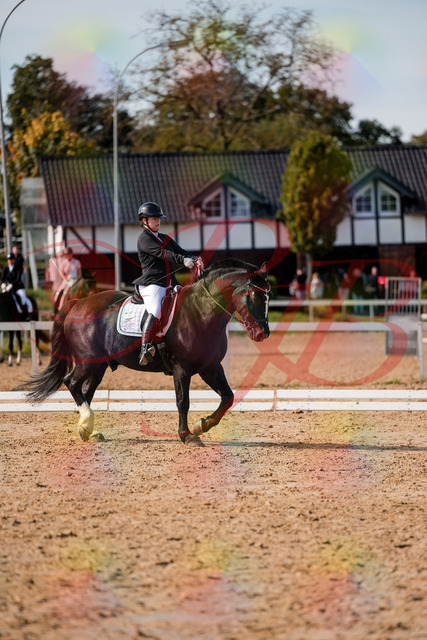2026_10_03_Siefer-Hof_131746_Z63_79960252 | Professionelle Reitsport-, Turnier- und Eventfotografie von Robert Broda. Galerien mit ausgewählten und bearbeiteten Bildern direkt online ansehen und bestellen.