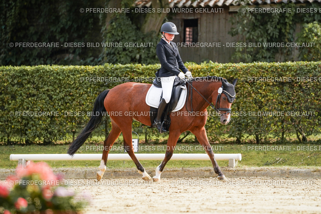 DSC04669 | Pferdegrafie