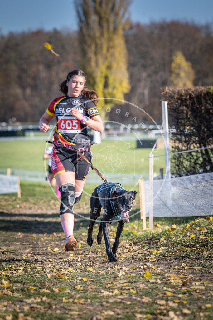 CaniXpix_DV3A9608 | Hundefotografie, Tierfotograf, Pfotenfotografie, Fotoshooting Hund, Hunde Portrait, Hundesport, Hundeportraits, Heideshooting, Hunde, Sportfotograf, Hundefotograf, Turnierhundsport, THS,  - Realisiert mit Pictrs.com