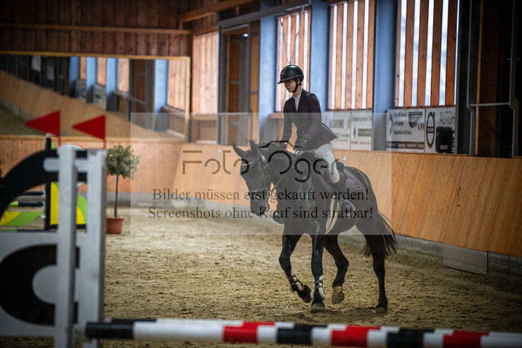 DOS_0730 | Entdecke hochwertige Reitturnierfotos von Foto Oger. Professionell, emotional und authentisch – jetzt Lieblingsmomente im Shop bestellen.Deutschlandweite Turnierfotografie. - Realisiert mit Pictrs.com