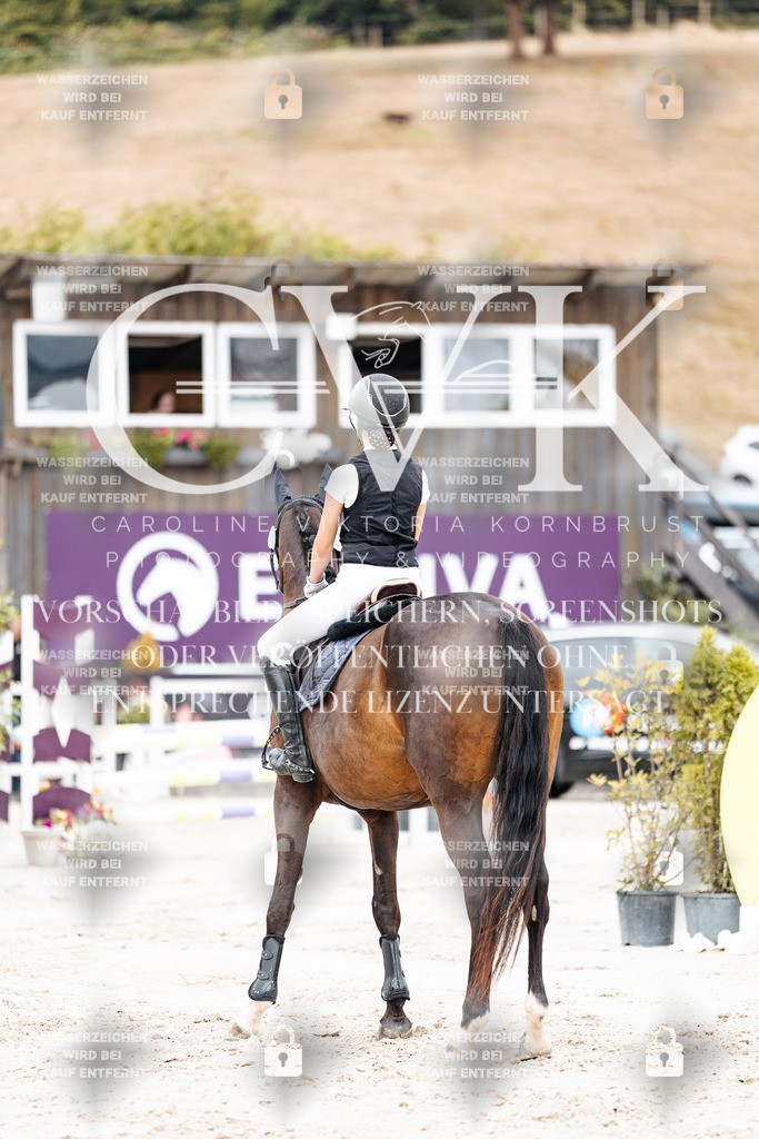 CK908074 | Turnierfotografie Pferdefotografie Trier Rheinland-Pfalz Pferdesport Reitsport Tierfotografie Sportfotografie Pferdevideo Pferdevideografie Equestrianvideography equestrianphotography  - Realisiert mit Pictrs.com