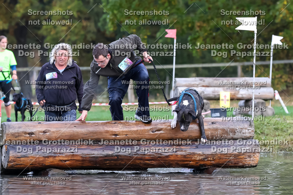 Dog Paparazzi - Strongdog 10-25-6581 | Dog Paparazzi Jeanette Grottendiek Fotografie & Videografie - Realisiert mit Pictrs.com