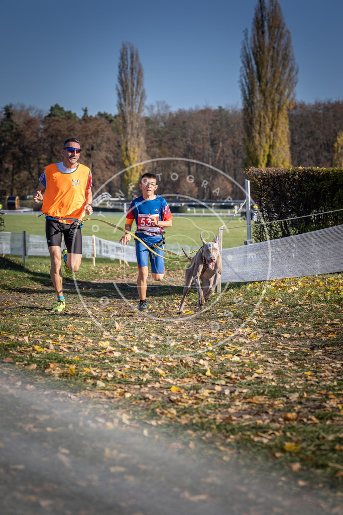 CaniXpix_DV3A8306 | Hundefotografie, Tierfotograf, Pfotenfotografie, Fotoshooting Hund, Hunde Portrait, Hundesport, Hundeportraits, Heideshooting, Hunde, Sportfotograf, Hundefotograf, Turnierhundsport, THS,  - Realisiert mit Pictrs.com