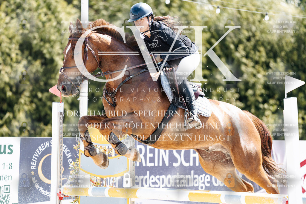 CK909222 | Turnierfotografie Pferdefotografie Trier Rheinland-Pfalz Pferdesport Reitsport Tierfotografie Sportfotografie Pferdevideo Pferdevideografie Equestrianvideography equestrianphotography  - Realisiert mit Pictrs.com