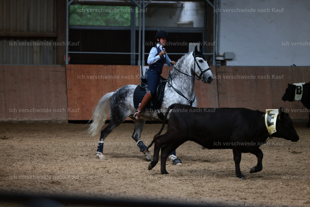Masterclass_stoibphotography_C2_L7487.JPG | working equitationturnier fotograf videograf stoibphotography marixx film working equitation deutschland reitsport turnierfotografie eventfotografie equestrian events