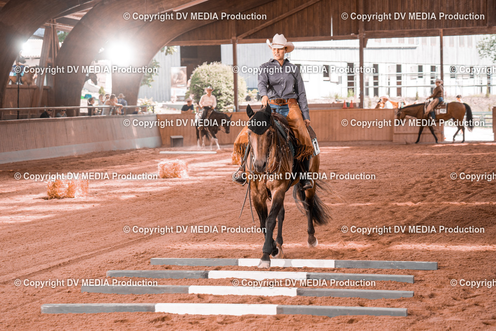 NE300289 | dv-media-shop - Realisiert mit Pictrs.com