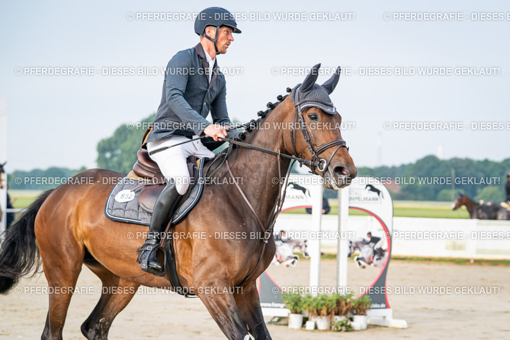 DSC07689 | Pferdegrafie