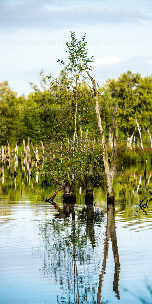 Oldendorf Hohes Moor_ELS_9212150816p | Oldendorf - Aufnahmedatum: 15.08.2016, Aufnahmehöhe:  m, Koordinaten:  - , Bildgröße: 3680 x  7360 Pixel - Copyright 2016 by Martin Elsen, Kontakt: Tel.: +49 157 74581206, E-Mail: info@schoenes-foto.deSchlagwörter:Hohes Moor,Moor,Landschaft,Samtgemeinde Himmelpforten, Insel, Niedersachsen,Martin Elsen, Landkreis Stade, - Realisiert mit Pictrs.com