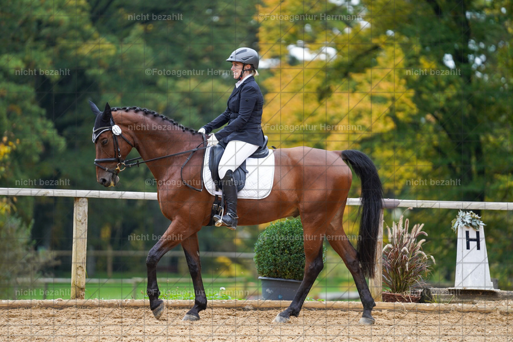 20221008-FAH01465 | Diessen am Ammersee, 2022, Dressur- und Springturnier, Reitsportbilder, Turnierfotografen Bayern, Pferdefotografen, Fotoagentur Herrmann, Turnierbilder