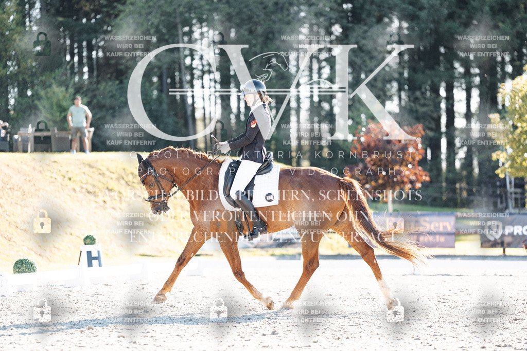 CK906656 | Turnierfotografie Pferdefotografie Trier Rheinland-Pfalz Pferdesport Reitsport Tierfotografie Sportfotografie Pferdevideo Pferdevideografie Equestrianvideography equestrianphotography  - Realisiert mit Pictrs.com